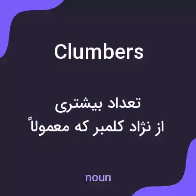 معنی clumbers به فارسی معنی clumbers به فارسی