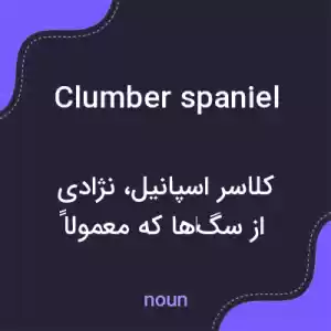 معنی clumber spaniel به فارسی معنی clumber spaniel به فارسی