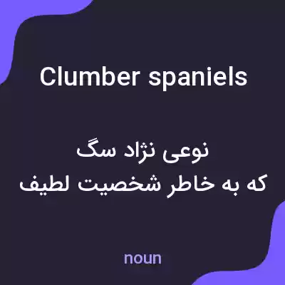معنی clumber spaniels به فارسی معنی clumber spaniels به فارسی