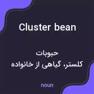 معنی cluster bean به فارسی
