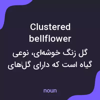 معنی clustered bellflower به فارسی معنی clustered bellflower به فارسی