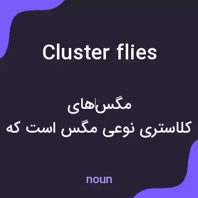 معنی cluster flies به فارسی معنی cluster flies به فارسی