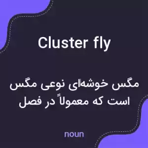 معنی cluster fly به فارسی معنی cluster fly به فارسی
