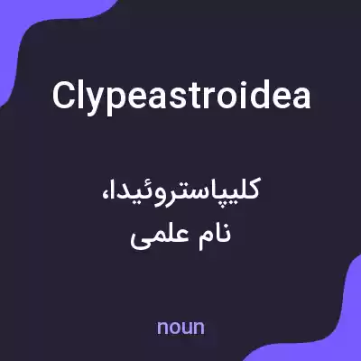 معنی clypeastroidea به فارسی معنی clypeastroidea به فارسی