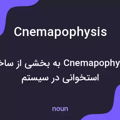 معنی cnemapophysis به فارسی معنی cnemapophysis به فارسی