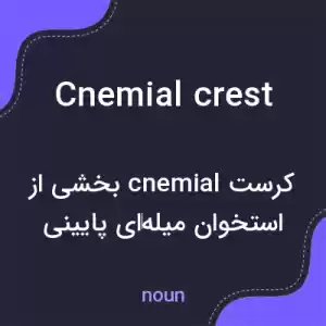 معنی cnemial crest به فارسی معنی cnemial crest به فارسی