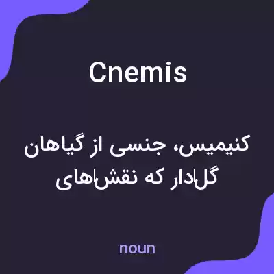 معنی cnemis به فارسی