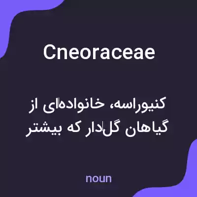 معنی cneoraceae به فارسی