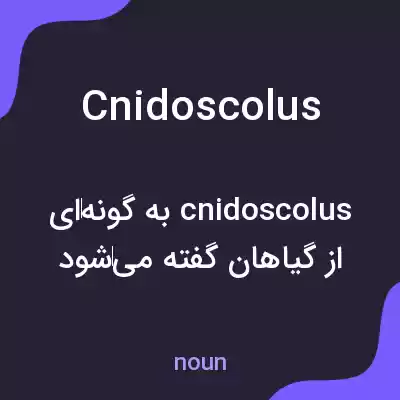 معنی cnidoscolus به فارسی معنی cnidoscolus به فارسی