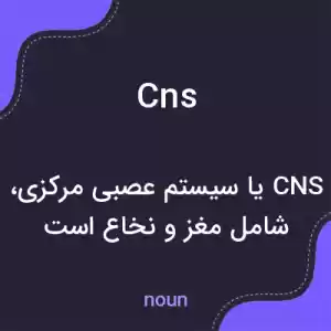 معنی cns به فارسی