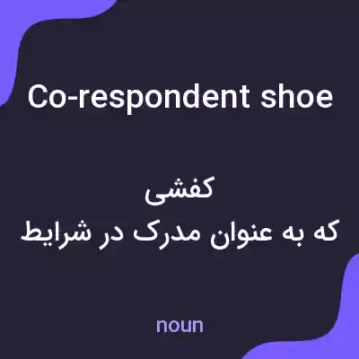 معنی co-respondent shoe به فارسی معنی co-respondent shoe به فارسی