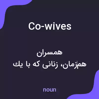 معنی co-wives به فارسی معنی co-wives به فارسی