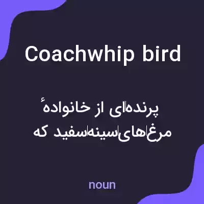 معنی coachwhip bird به فارسی معنی coachwhip bird به فارسی