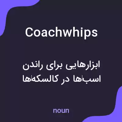 معنی coachwhips به فارسی معنی coachwhips به فارسی