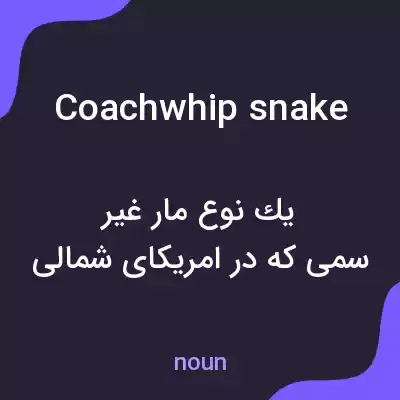 معنی coachwhip snake به فارسی معنی coachwhip snake به فارسی