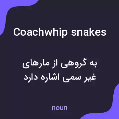 معنی coachwhip snakes به فارسی معنی coachwhip snakes به فارسی