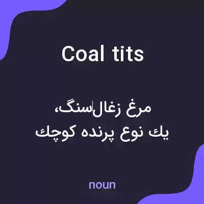 معنی coal tits به فارسی معنی coal tits به فارسی