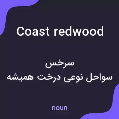 معنی coast redwood به فارسی