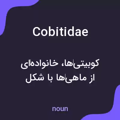 معنی cobitidae به فارسی