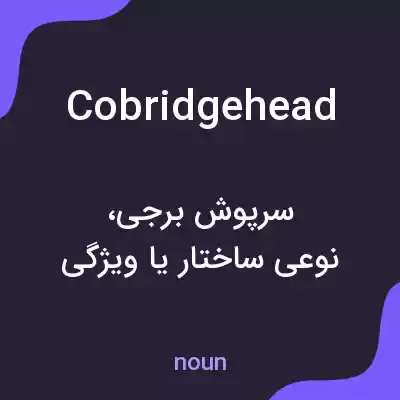 معنی cobridgehead به فارسی معنی cobridgehead به فارسی