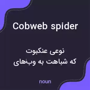 معنی cobweb spider به فارسی معنی cobweb spider به فارسی