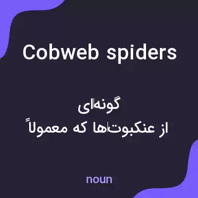 معنی cobweb spiders به فارسی معنی cobweb spiders به فارسی