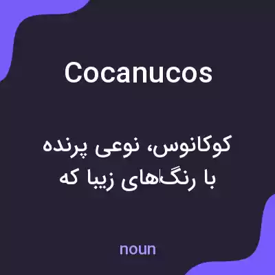 معنی cocanucos به فارسی معنی cocanucos به فارسی