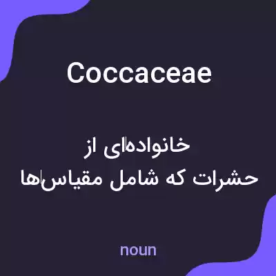 معنی coccaceae به فارسی معنی coccaceae به فارسی