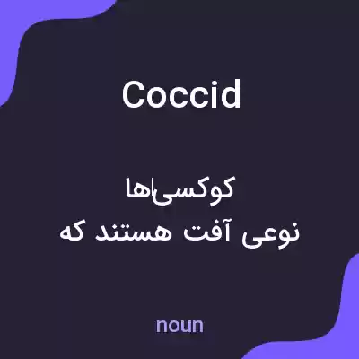 معنی coccid به فارسی معنی coccid به فارسی