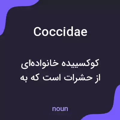 معنی coccidae به فارسی معنی coccidae به فارسی