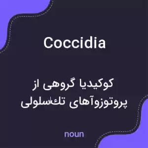 معنی coccidia به فارسی