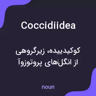 معنی coccidiidea به فارسی معنی coccidiidea به فارسی