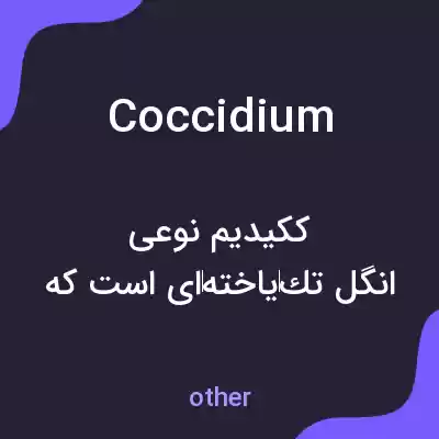 معنی coccidium به فارسی معنی coccidium به فارسی