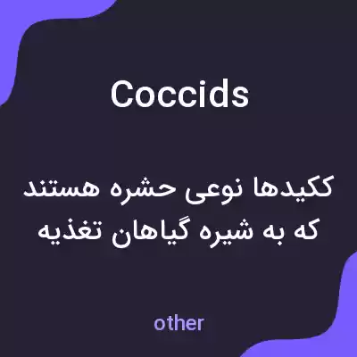 معنی coccids به فارسی معنی coccids به فارسی