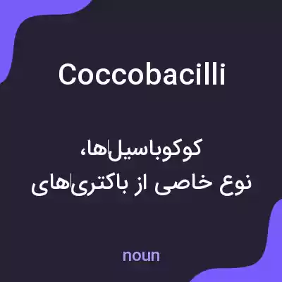 معنی coccobacilli به فارسی