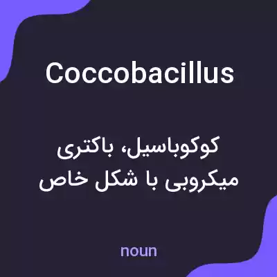 معنی coccobacillus به فارسی معنی coccobacillus به فارسی