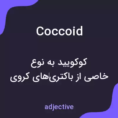 معنی coccoid به فارسی
