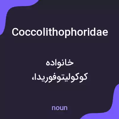 معنی coccolithophoridae به فارسی معنی coccolithophoridae به فارسی
