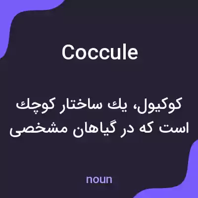 معنی coccule به فارسی معنی coccule به فارسی