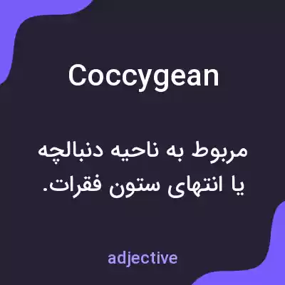 معنی coccygean به فارسی