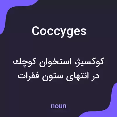 معنی coccyges به فارسی معنی coccyges به فارسی