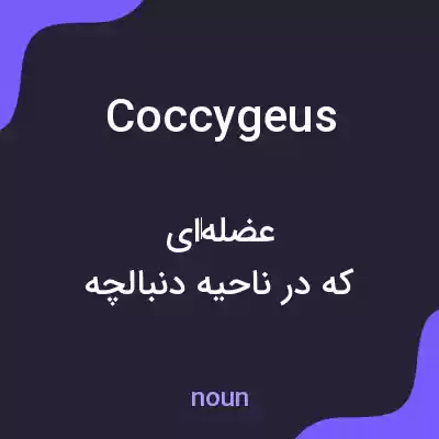 معنی coccygeus به فارسی معنی coccygeus به فارسی