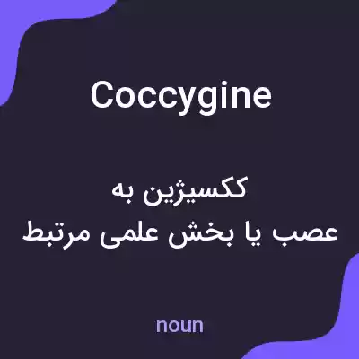معنی coccygine به فارسی