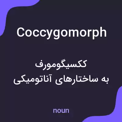 معنی coccygomorph به فارسی معنی coccygomorph به فارسی