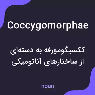 معنی coccygomorphae به فارسی معنی coccygomorphae به فارسی