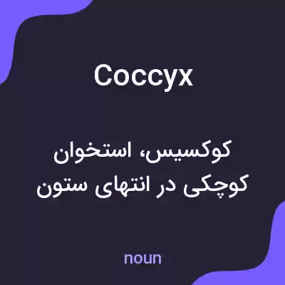 معنی coccyx به فارسی معنی coccyx به فارسی
