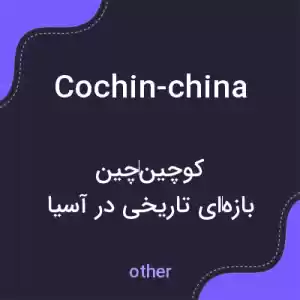 معنی cochin-china به فارسی معنی cochin-china به فارسی