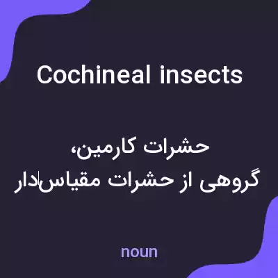 معنی cochineal insects به فارسی