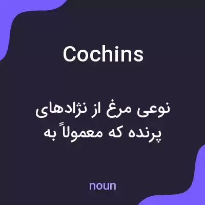 معنی cochins به فارسی معنی cochins به فارسی