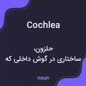 معنی cochlea به فارسی معنی cochlea به فارسی